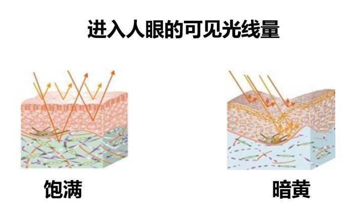 换了几十瓶精华,为什么你还是没变白? 换了几十瓶精华,为什么你还是没变白?