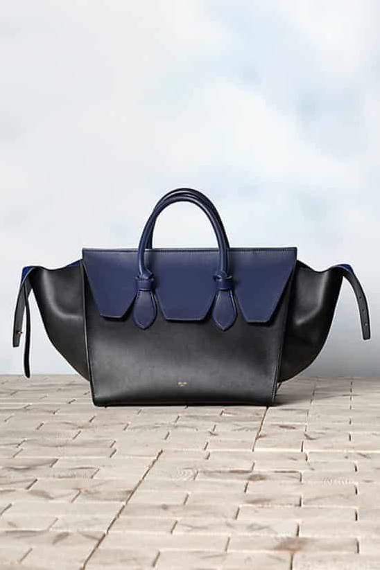 Celine 赛琳2013冬季新款时尚女士奢侈品包包 设计独特