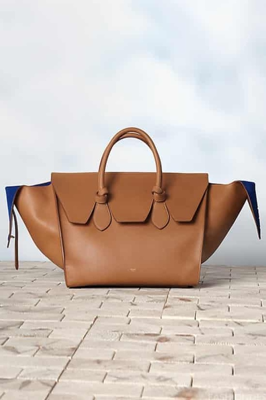 Celine 赛琳2013冬季新款时尚女士奢侈品包包 设计独特