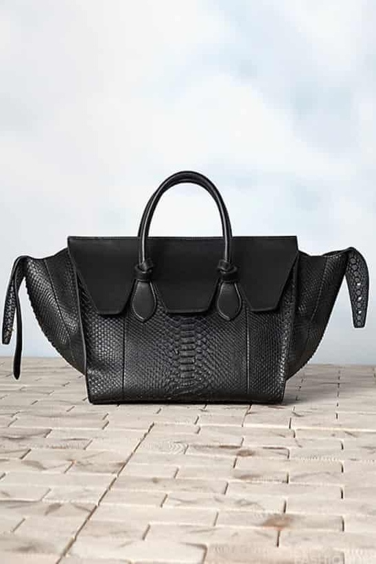 Celine 赛琳2013冬季新款时尚女士奢侈品包包 设计独特