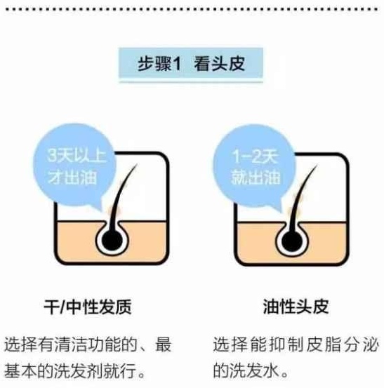 头发干枯毛躁还掉发 这些养护方法一定能帮到你