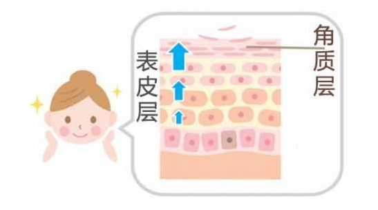 脸过敏的治疗方法 最全皮肤过敏处理方法